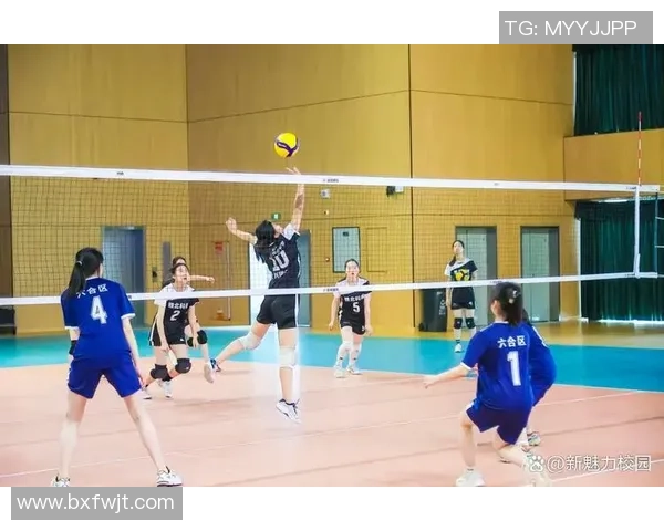 排球专题：聚焦南京排球队的个人能力