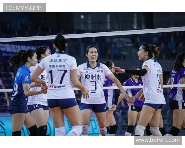 排球专题：聚焦深圳排球队的耐力